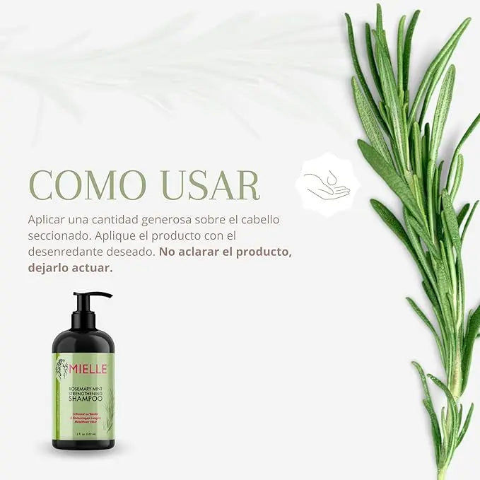 Rosemary Hair Care Essential Oil Essentia